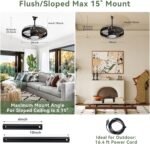 51pleah0dvl._ac_sl1500.jpg