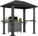 Aoxun5x8FTGrillHardtopGazebo.jpg